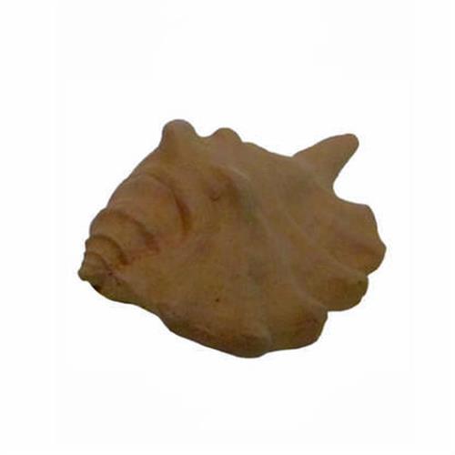 CONCHIGLIA (Bsc) h.4,50 l.7,00 p.3,00  cm. 0,04kg