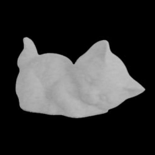 GATTO (Bsc) h.6,00 l.10,00 p.5,00