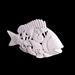 PESCE FORO LUCE GRANDE(Bsc) h.21,00 l.38,00 p. 9,00 cm. 0,900kg