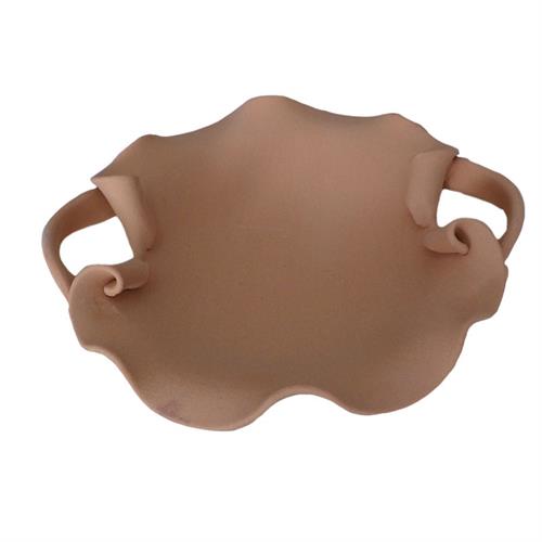 PP008 CIOTOLA 2 MANICI F.PRODUZIONE