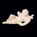 ANGELO (Bsc) h.15,00 l.30,00 p.9,00